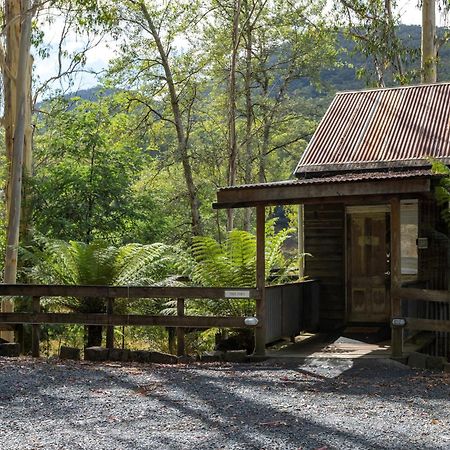 Toorongo Valley Estate Noojee Exteriör bild