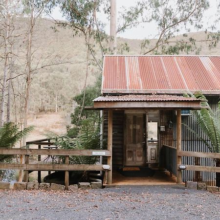 Toorongo Valley Estate Noojee Exteriör bild