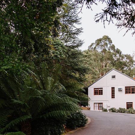 Toorongo Valley Estate Noojee Exteriör bild