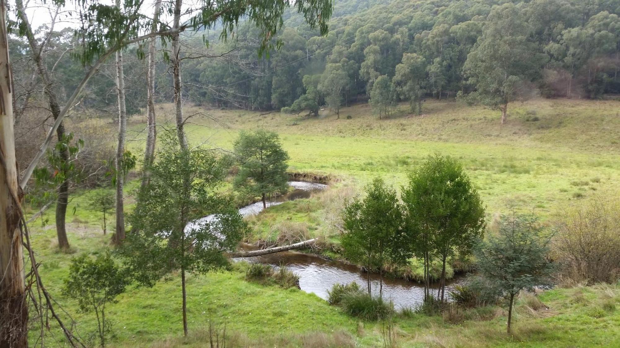 Toorongo Valley Estate Noojee Rum bild