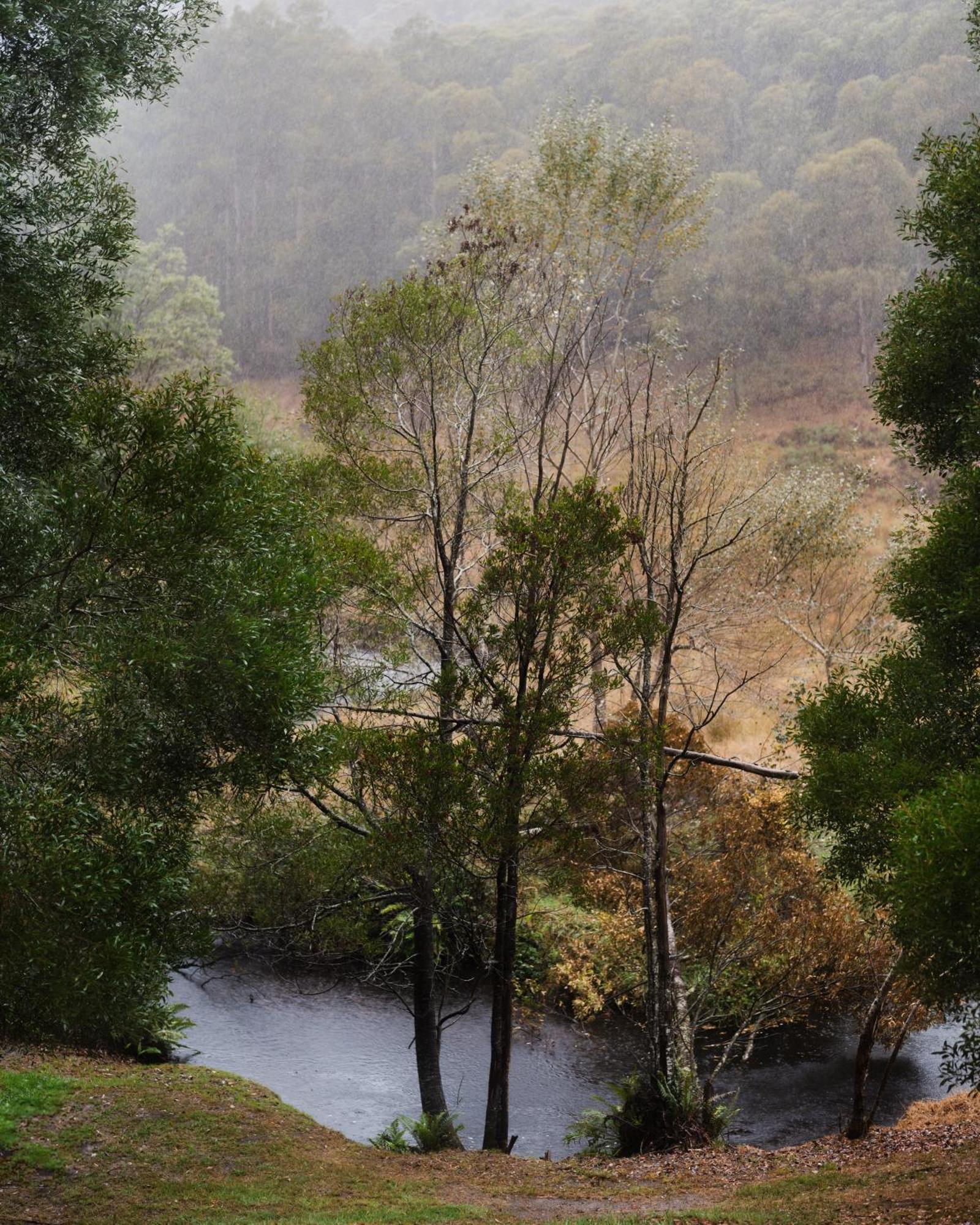 Toorongo Valley Estate Noojee Exteriör bild