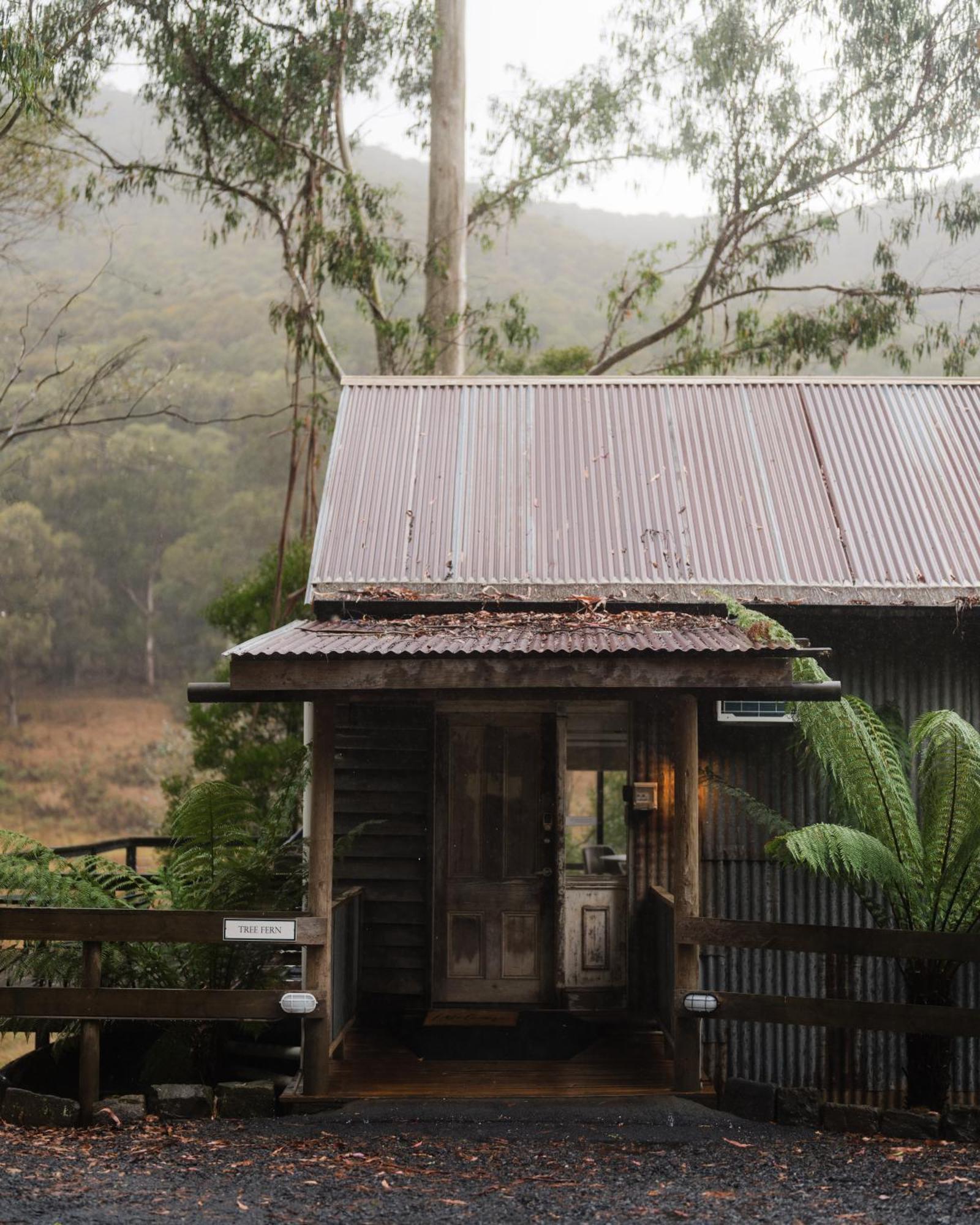 Toorongo Valley Estate Noojee Exteriör bild