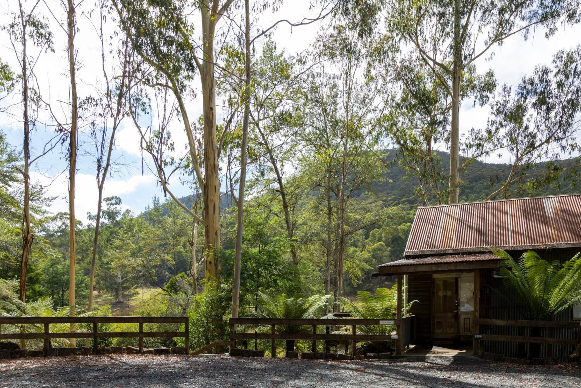 Toorongo Valley Estate Noojee Exteriör bild