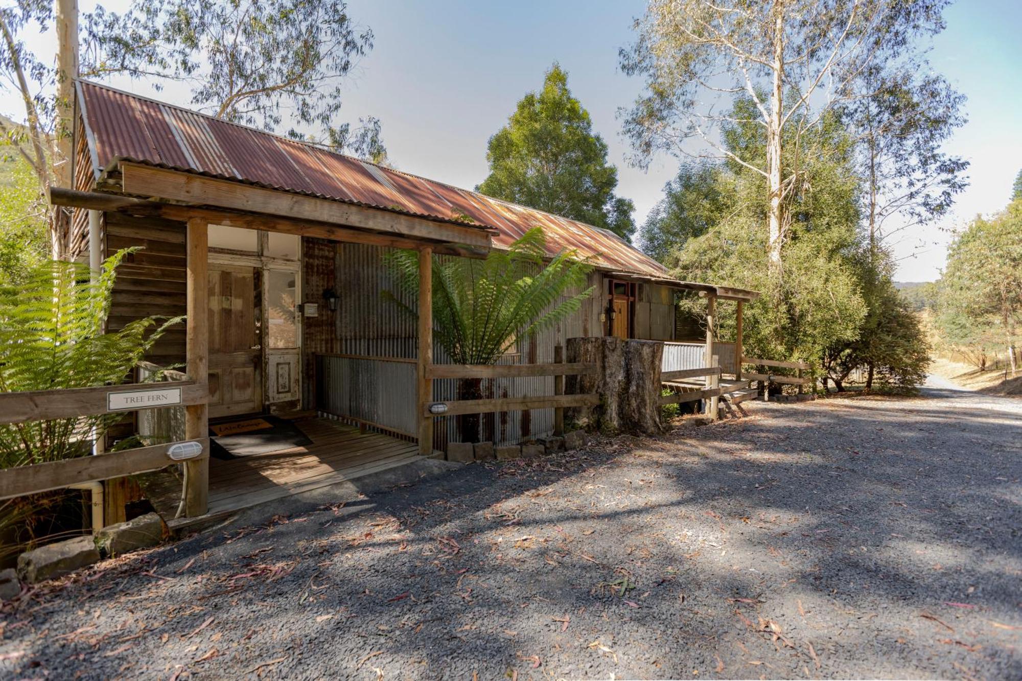 Toorongo Valley Estate Noojee Exteriör bild
