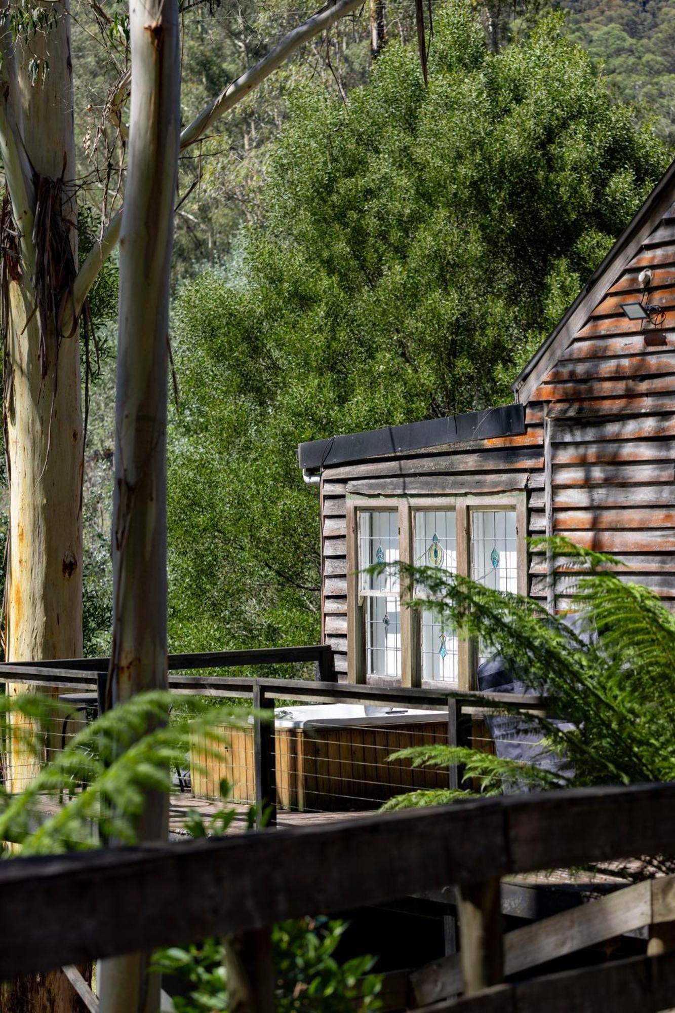 Toorongo Valley Estate Noojee Exteriör bild