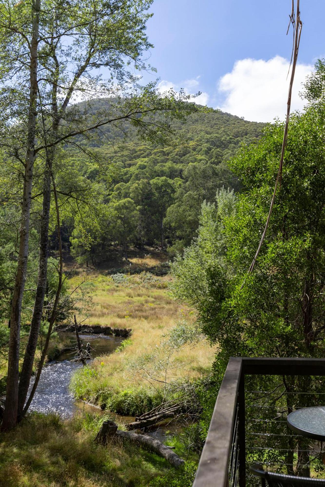 Toorongo Valley Estate Noojee Exteriör bild