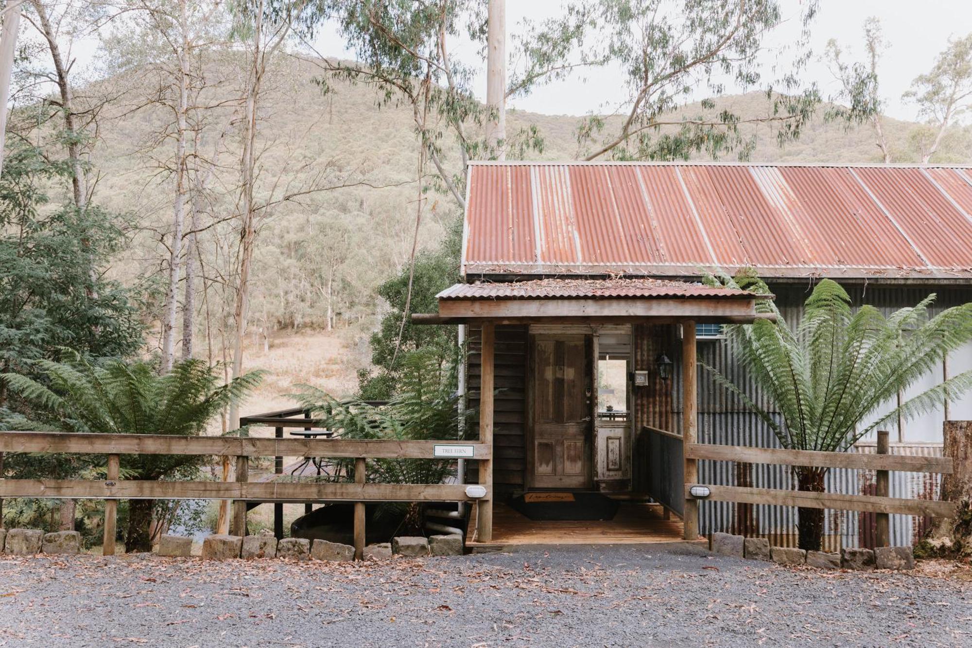 Toorongo Valley Estate Noojee Exteriör bild