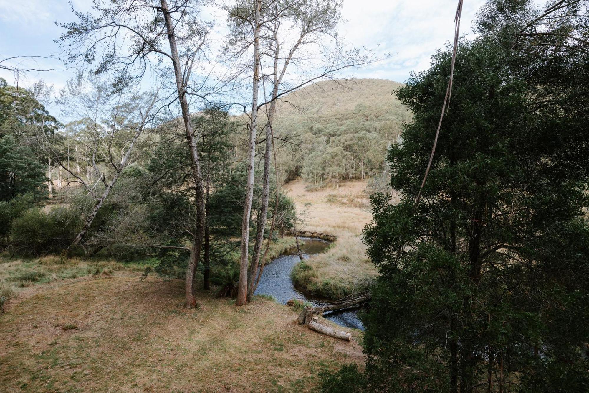 Toorongo Valley Estate Noojee Exteriör bild